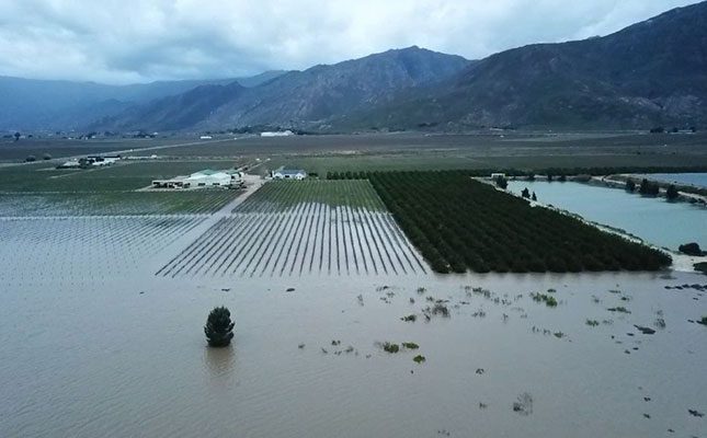 Opinion: The Forgotten Victims of the Western Cape Floods – Farm Workers Pay the Highest Price